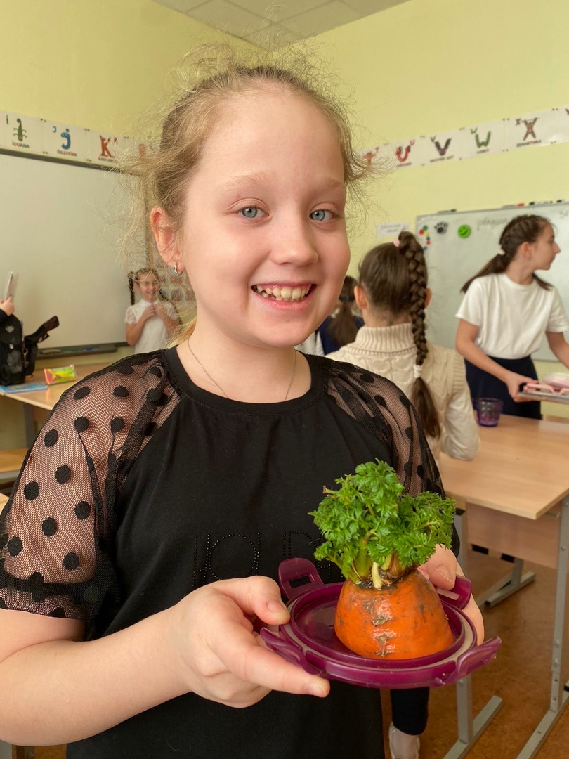 Ученики 3 классов на уроках английского провели огородный эксперимент «My plant» — прорастили морковь 🥕 и лук 🧅