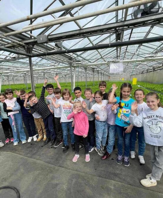 Ребята 2Б класса посетили АО «Тепличный» — крупнейшее в Поволжье предприятие по выращиванию в закрытом грунте зелёных культур